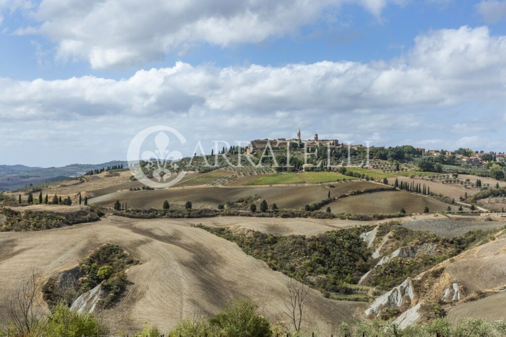 Casale panoramico ed esclusivo con terreno- Pienza