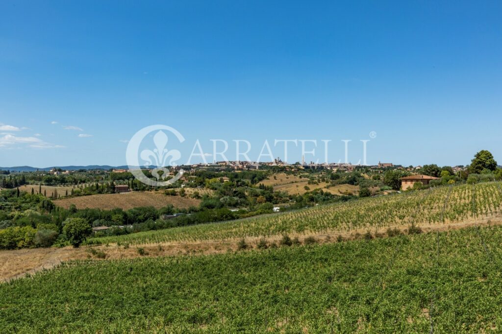 Castle with farm near Siena