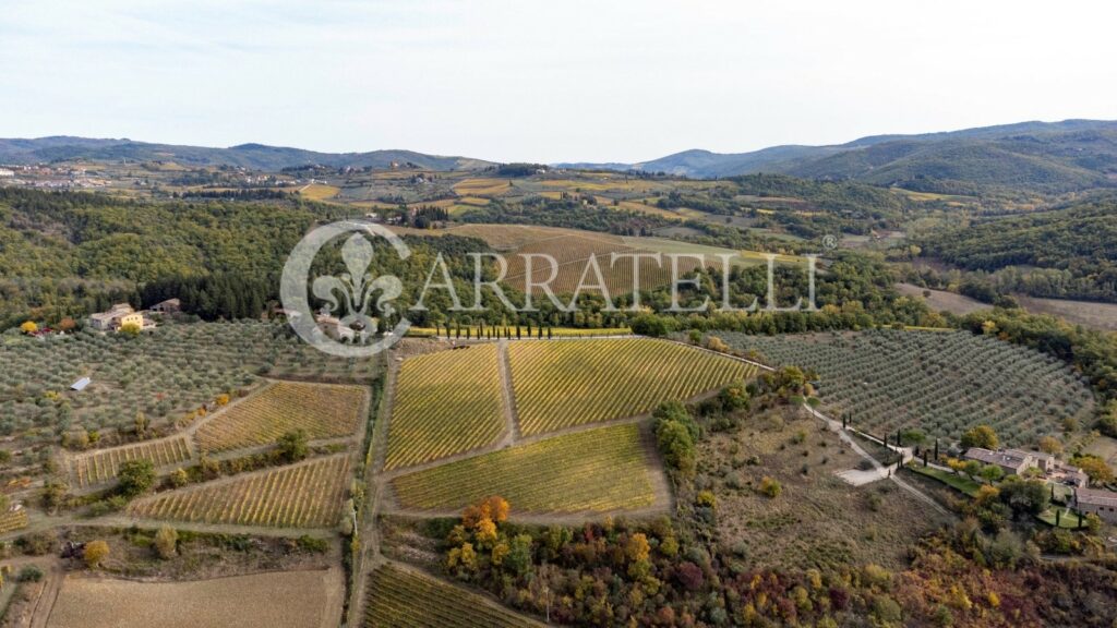 Azienda vitivinicola con casale a Greve in Chianti