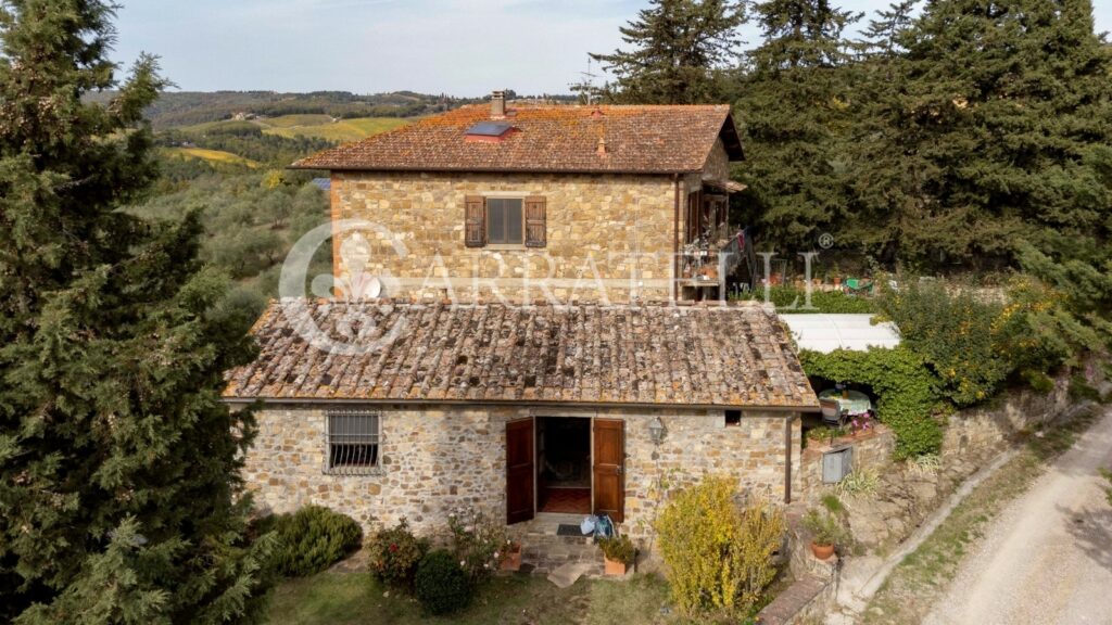 Azienda vitivinicola con casale a Greve in Chianti