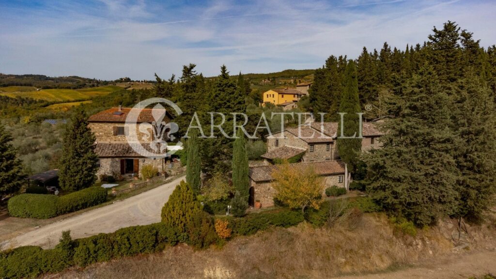 Azienda vitivinicola con casale a Greve in Chianti