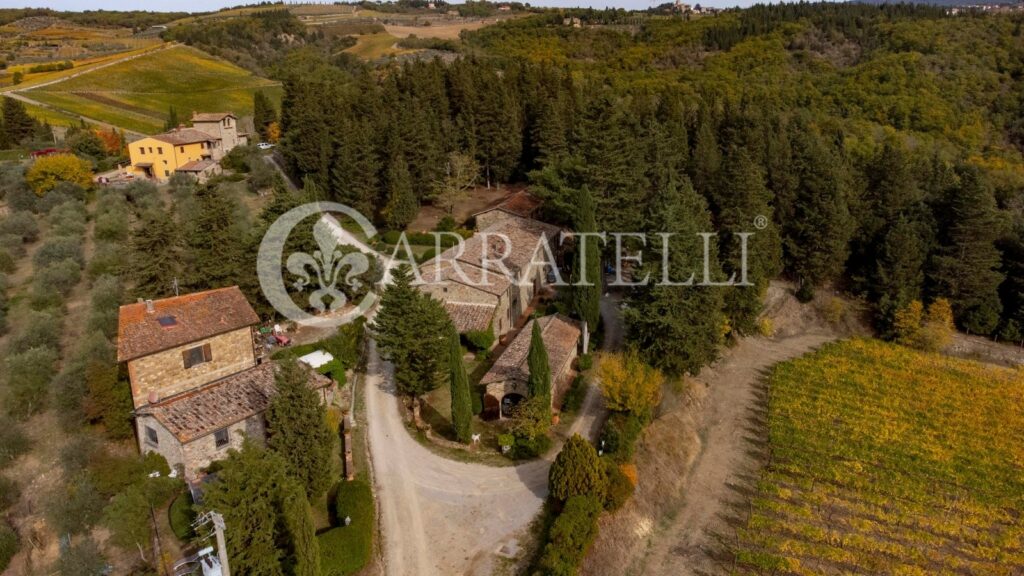 Azienda vitivinicola con casale a Greve in Chianti