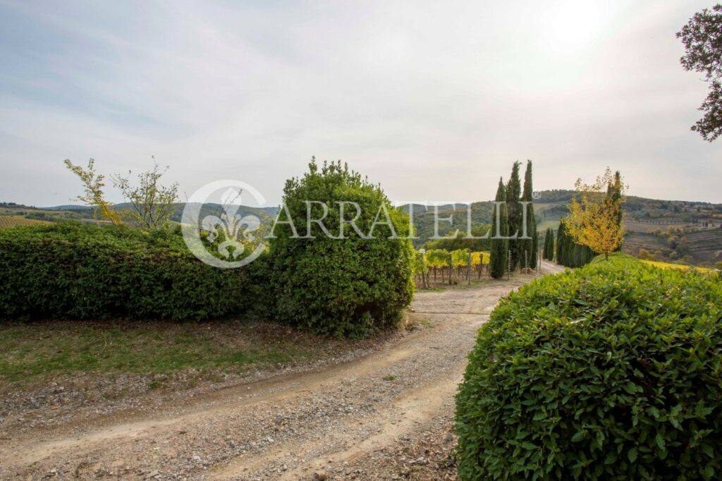 Azienda vitivinicola con casale a Greve in Chianti