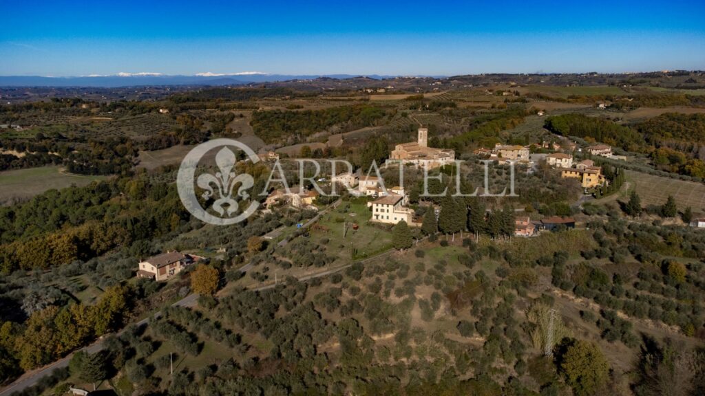 Azienda con vigna, ulivo e tartufaia a Barberino Tavarnelle