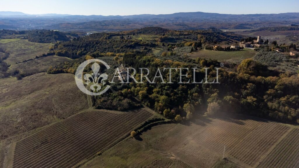 Azienda con vigna, ulivo e tartufaia a Barberino Tavarnelle