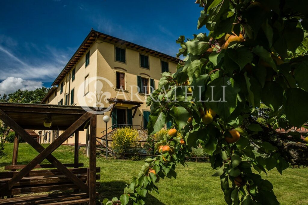 Azienda con vigna, ulivo e tartufaia a Barberino Tavarnelle