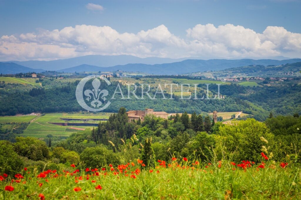 Castello medioevale con parco e piscina