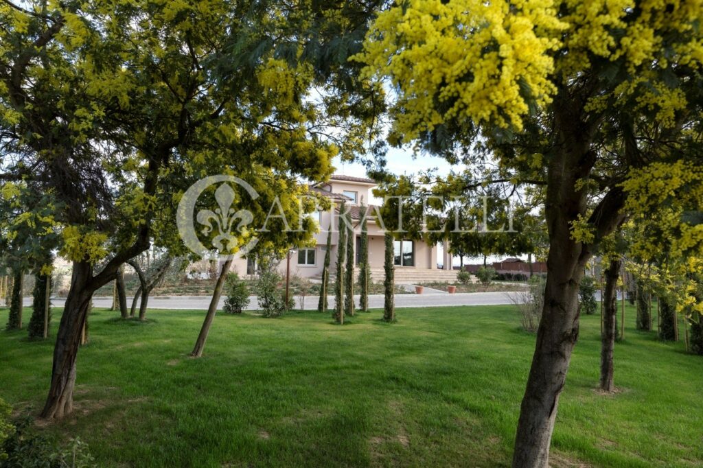 Villa moderna con  piscina ed uliveto vicino Arezzo