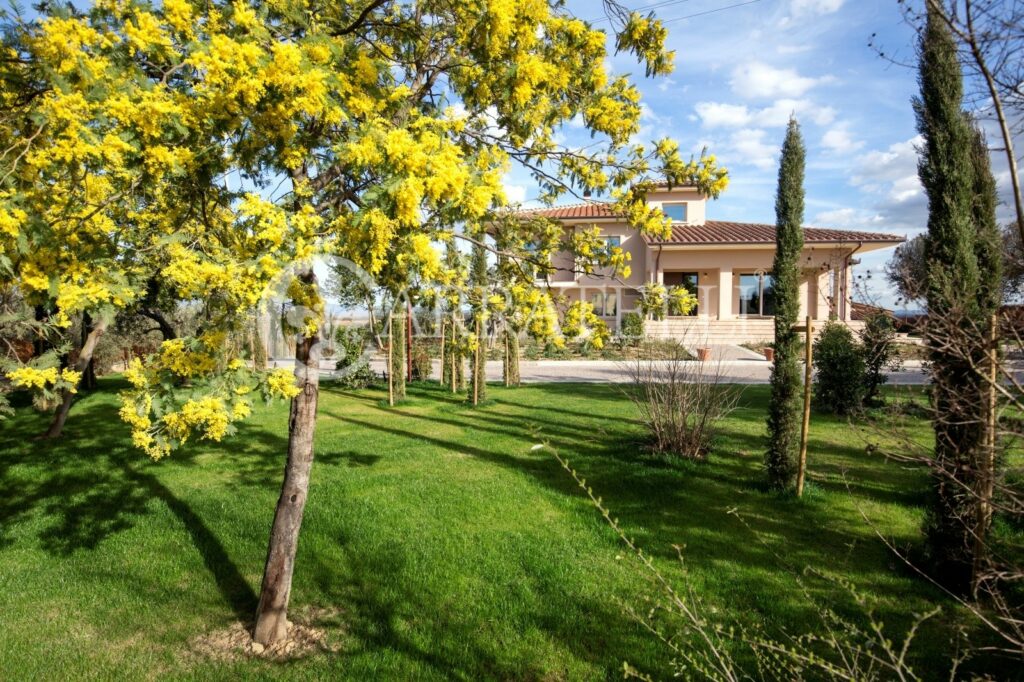 Villa moderna con  piscina ed uliveto vicino Arezzo