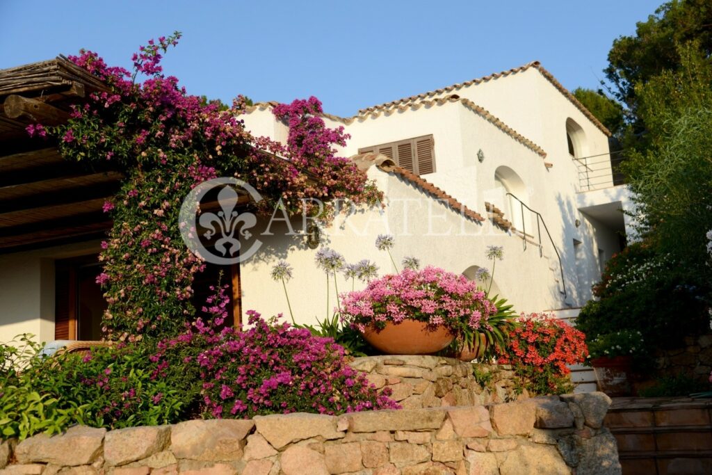 Meravigliosa villa con giardino,piscina fronte mare Sardegna