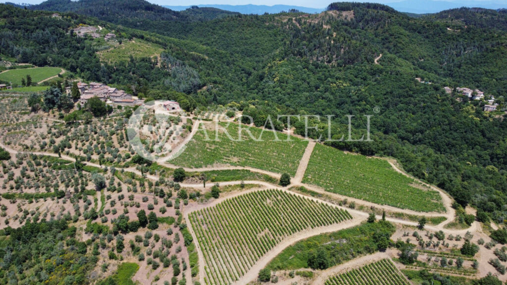 Azienda agricola con ricettiva nel cuore del Chianti