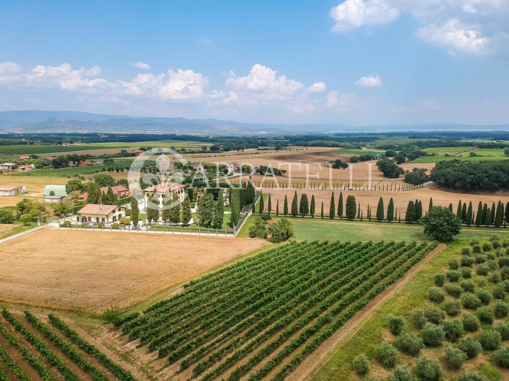 Villa dell’800 con parco, annessi e piscina