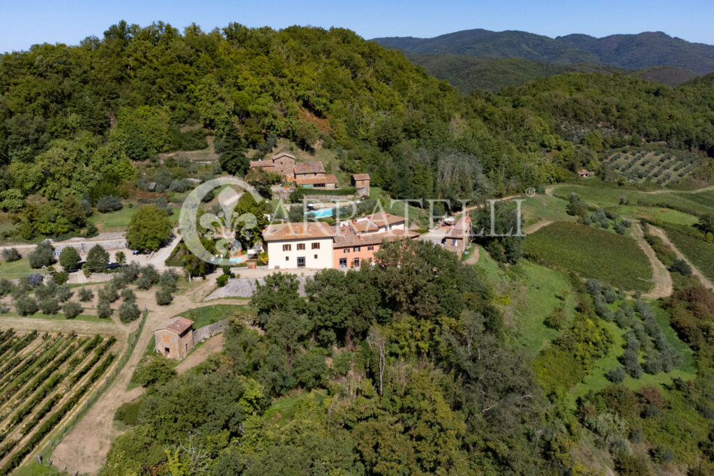 Azienda agricola con ricettività nel Chianti