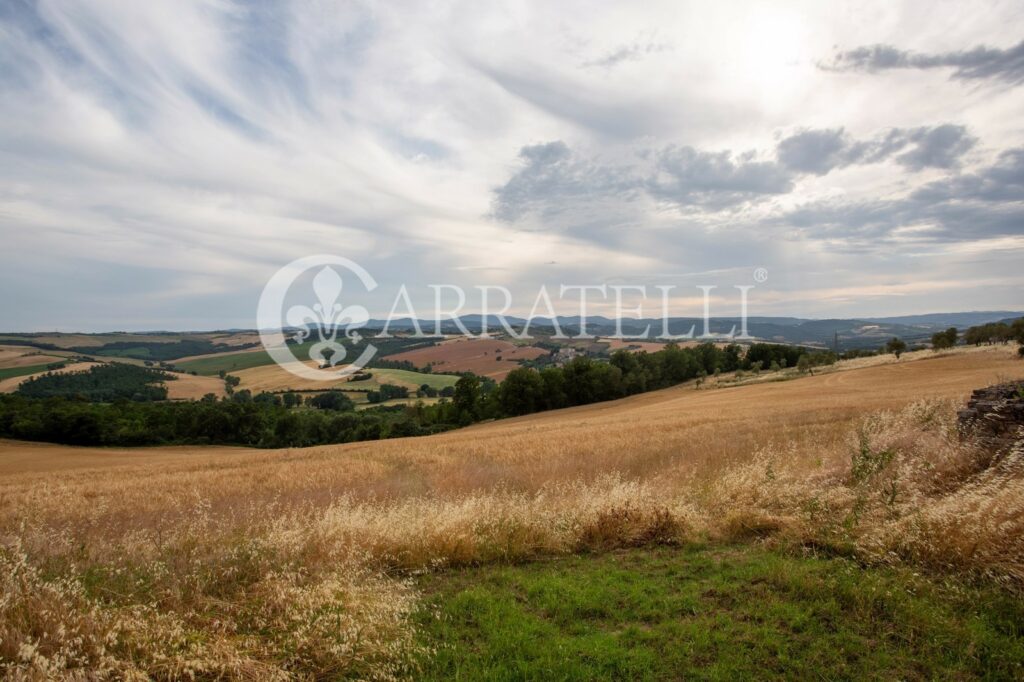 Castello e terreno di  290 ettari con complesso immobiliare