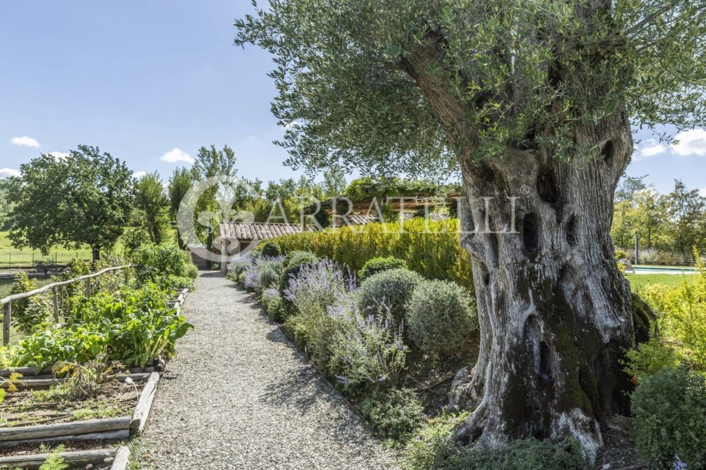 Casale lussuoso con piscina a Montepulciano