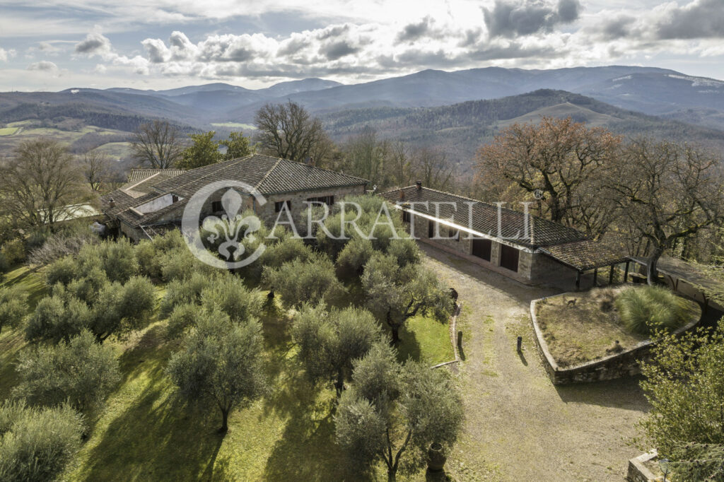 Farm with hunting reserve in Siena