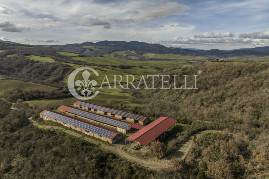 Farm with hunting reserve in Siena