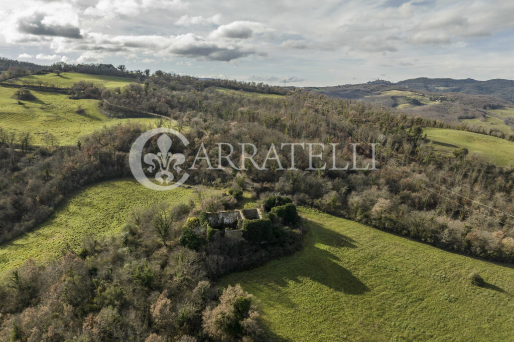 Farm with hunting reserve in Siena