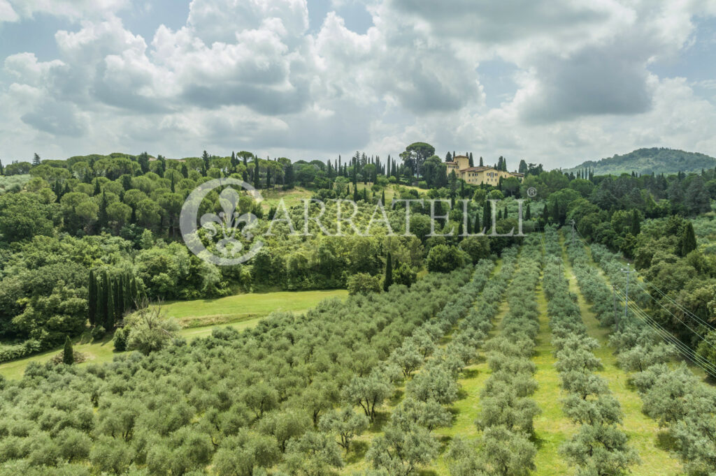 Superba villa storica sulle colline con oliveta