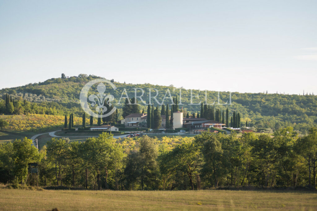 Resort di lusso con vigna e oliveta ad Arezzo