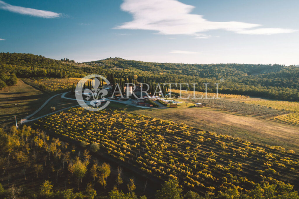 Resort di lusso con vigna e oliveta ad Arezzo