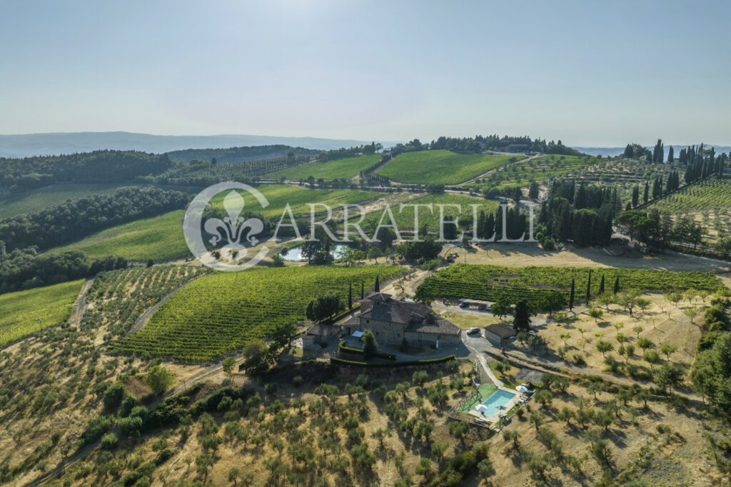 Azienda vitivinicola e olearia con parco e piscina