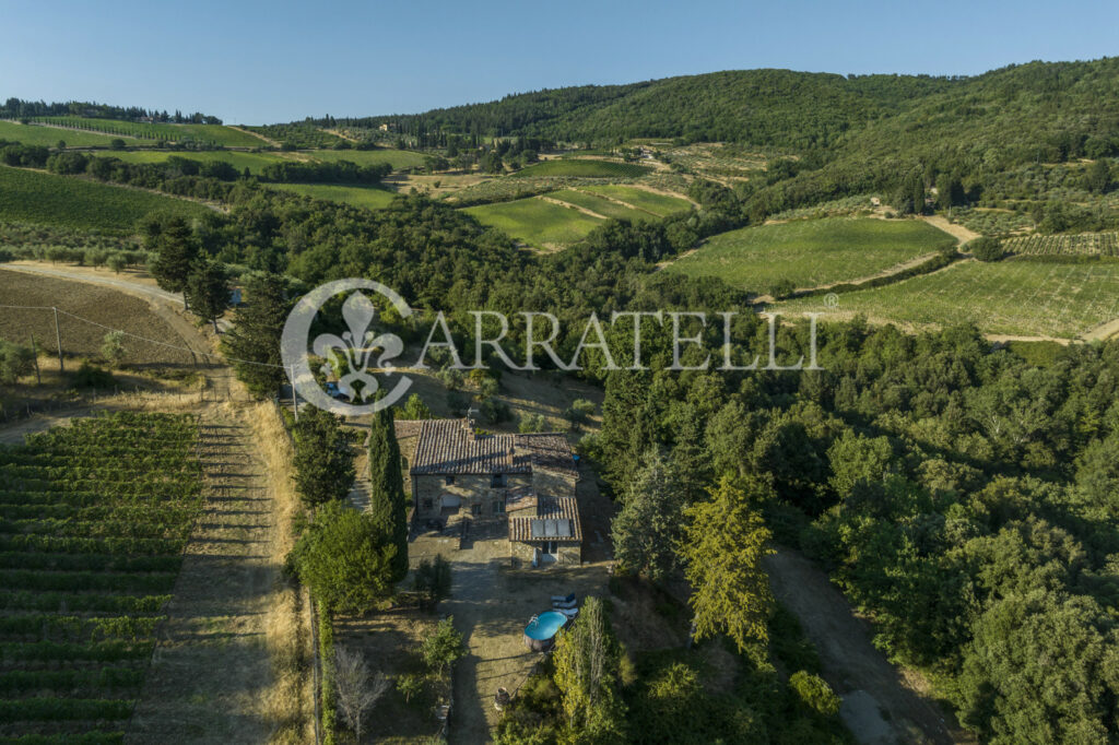 Azienda vitivinicola e olearia con parco e piscina