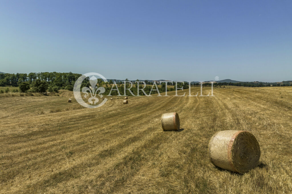 Azienda Agricola con Resort nella Maremma Toscana