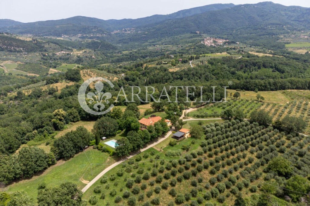 Firenze azienda agricola con agriturismo