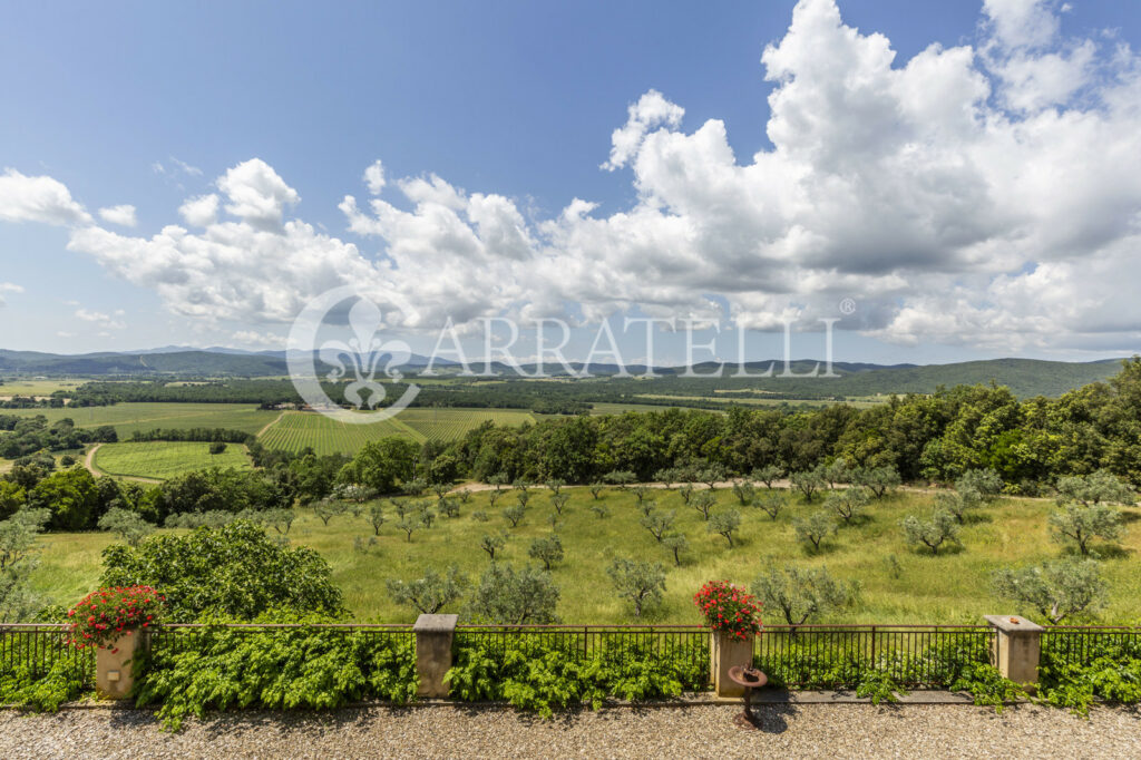 Massa Marittima important winery