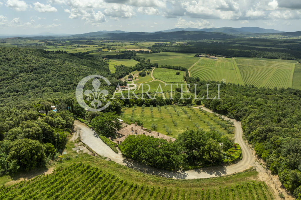 Massa Marittima important winery