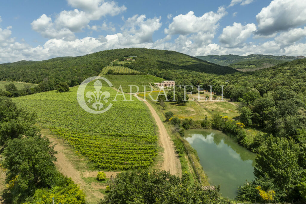 Massa Marittima important winery