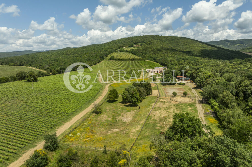 Massa Marittima importante azienda vitivinicola