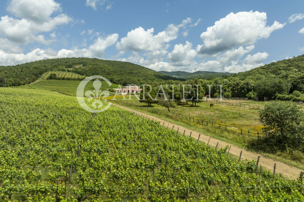 Massa Marittima important winery