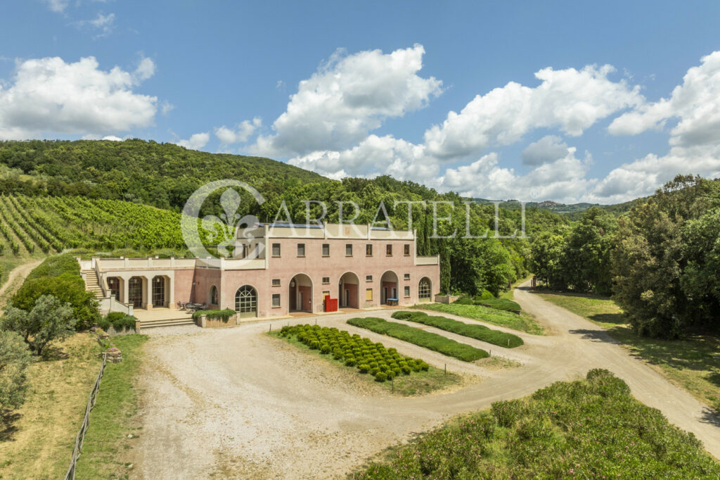 Massa Marittima important winery