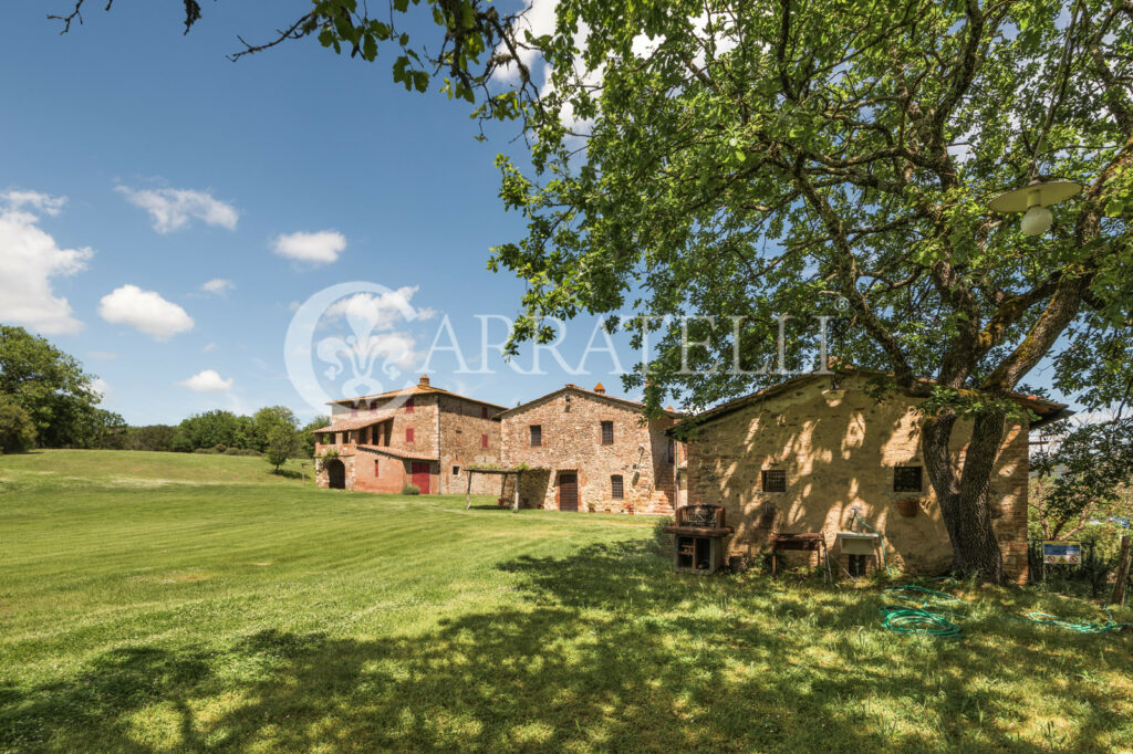 190 hectares in the Tuscan Maremma with stone farmhouses