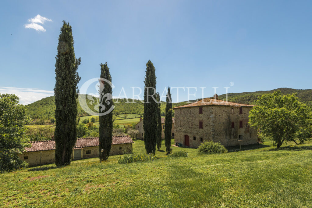 190 hectares in the Tuscan Maremma with stone farmhouses