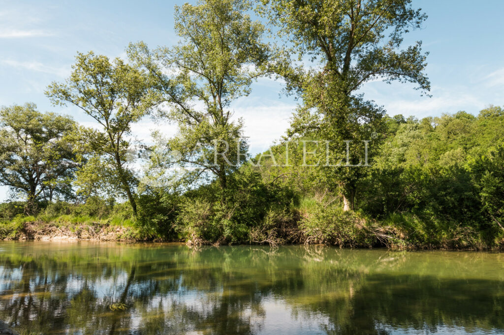 190 hectares in the Tuscan Maremma with stone farmhouses