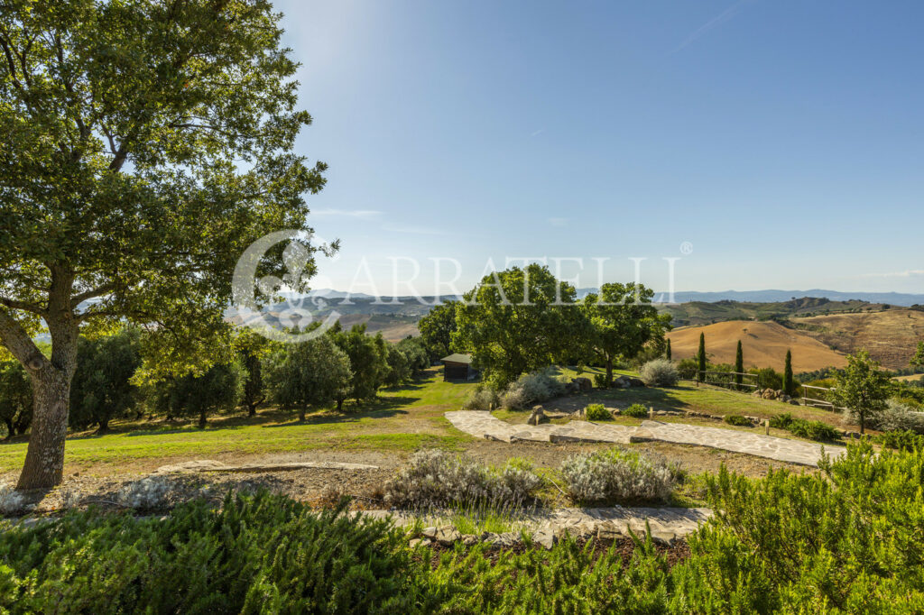 Cinigiano magnificent mansion with pool and land