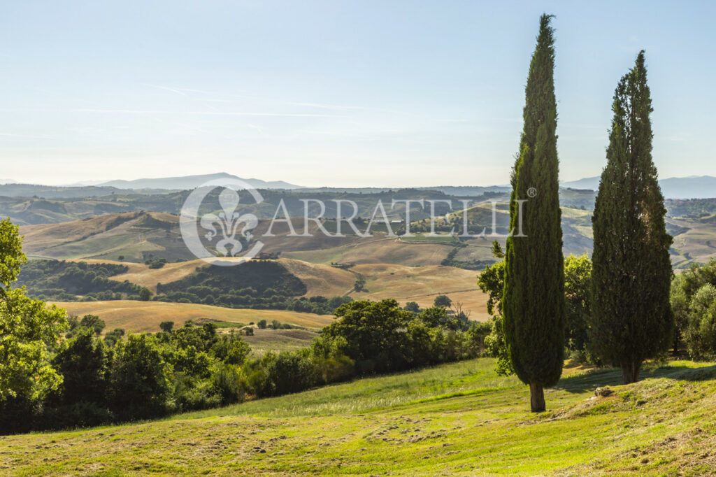 Cinigiano magnificent mansion with pool and land