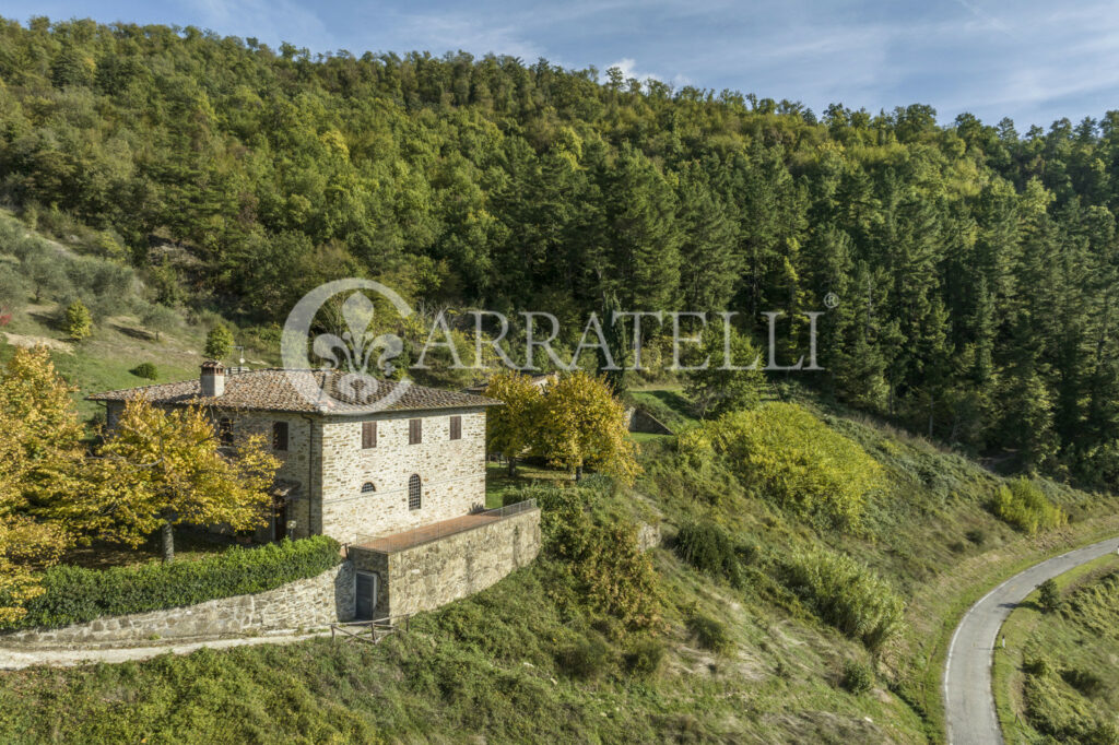 Azienda vitivinicola – ricettiva vicino a Firenze