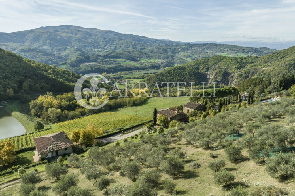 Azienda vitivinicola – ricettiva vicino a Firenze