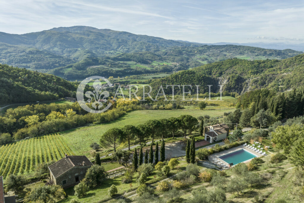 Winery – accommodation near Florence