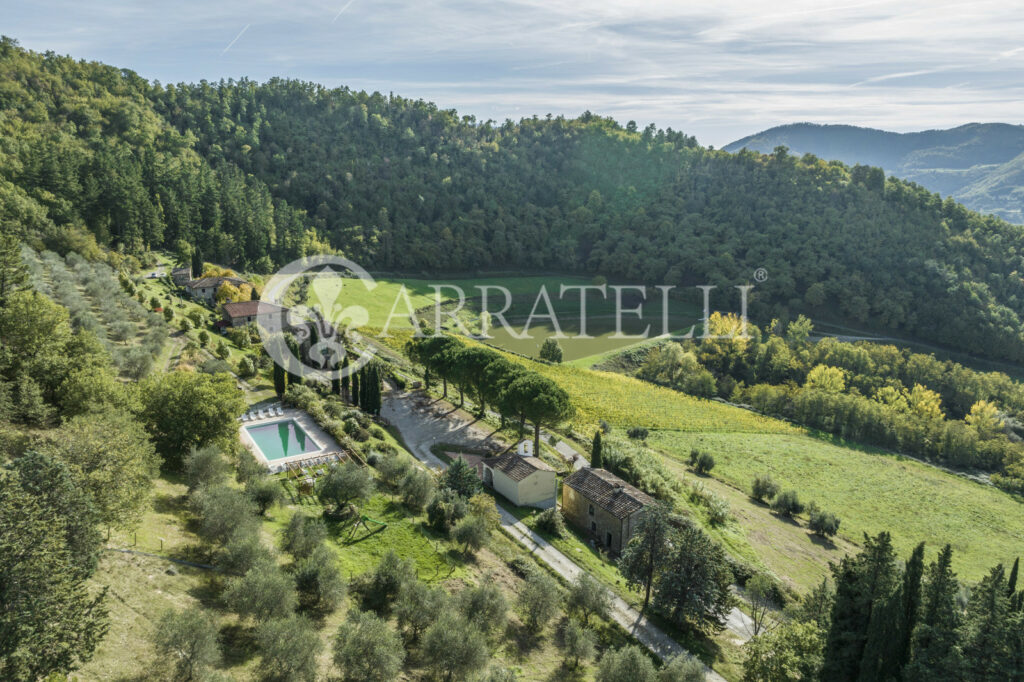 Winery – accommodation near Florence