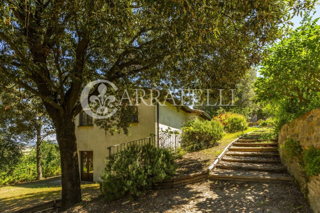 Marsciano, hamlet with castle, pools and land