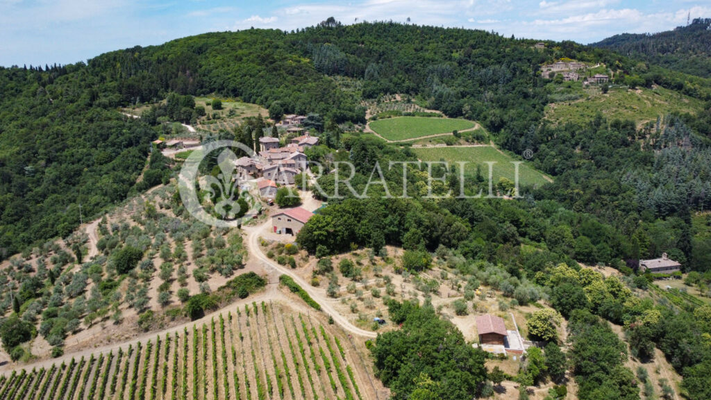 Farm with accommodation in the heart of Chianti