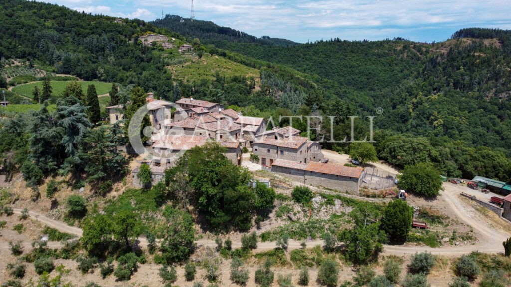 Farm with accommodation in the heart of Chianti