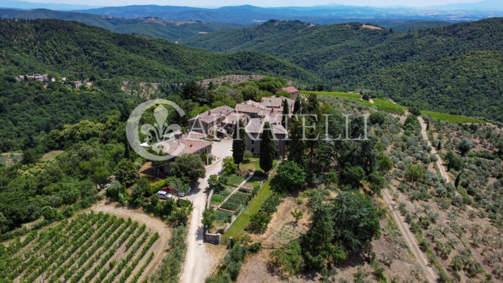 Farm with accommodation in the heart of Chianti