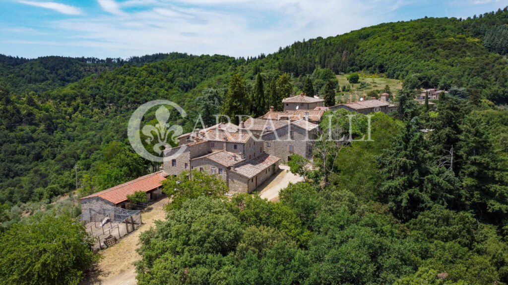 Farm with accommodation in the heart of Chianti