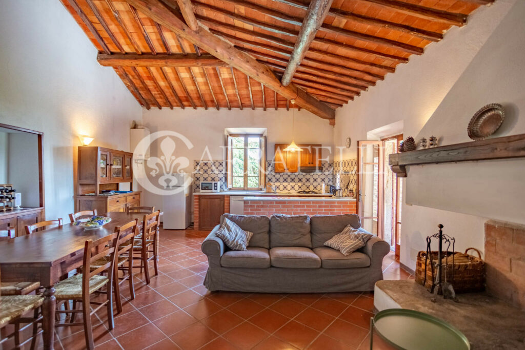 Farm with accommodation in the heart of Chianti